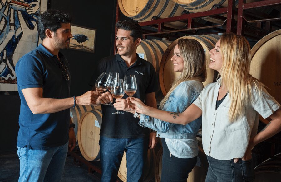 From Madrid: Traditional Villages, Winery Tour & Tapas Lunch - Spanish wine paired with a proper tapas lunch