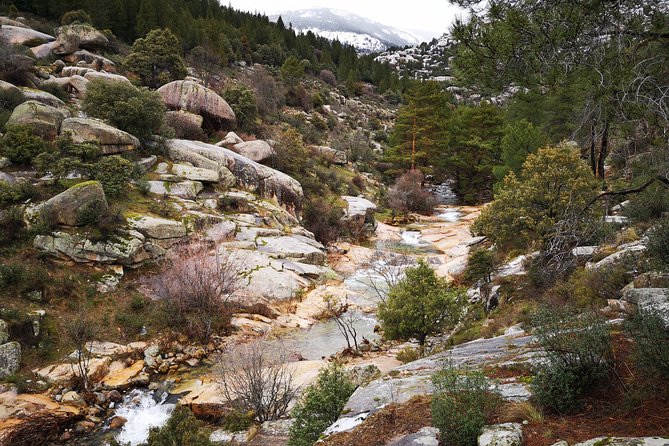 Full-Day Private Guided Tour to Guadarrama National Park - Eight hours among Guadarrama’s eleven ecosystems