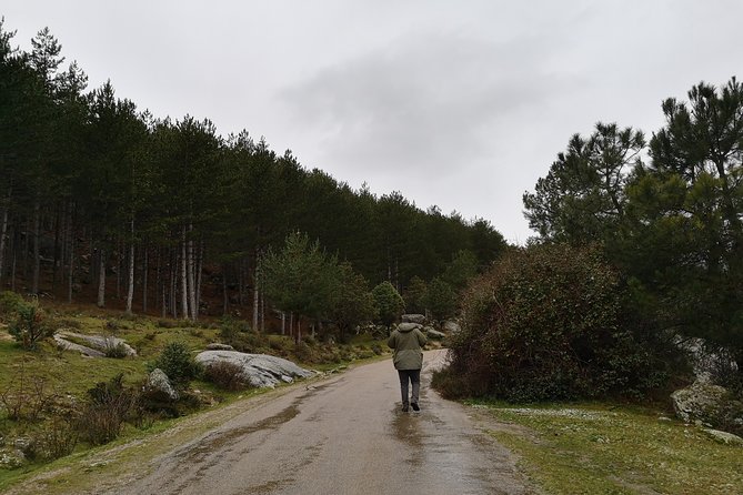 Full-Day Private Guided Tour to Guadarrama National Park - How the Trikke changes the way you explore
