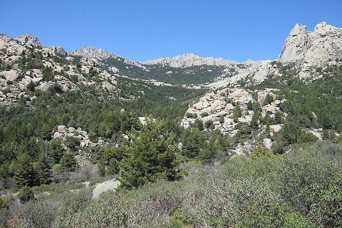 Full-Day Private Guided Tour to Guadarrama National Park - What a private guide adds to the day
