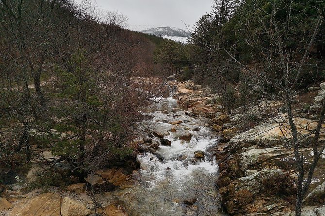 Guadarrama National Park from Madrid - Why this day trip works so well from Madrid