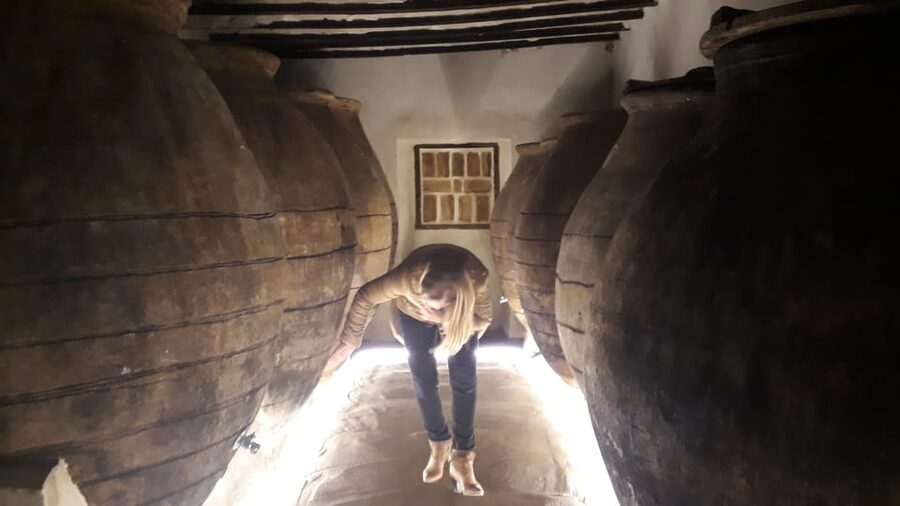 GUIDED VISIT TO BODEGA DEL NERO WINERY - Why Chinchón wine belongs on your Madrid day trip