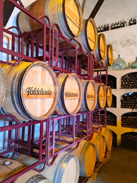 GUIDED VISIT TO BODEGA DEL NERO WINERY - A historic setting with a family story