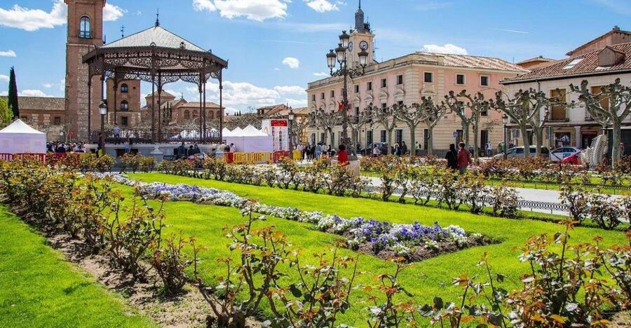 Half-Day Trip from Madrid: Alcalá de Henares & Winery Visit - Should you book this Alcalá and winery trip?