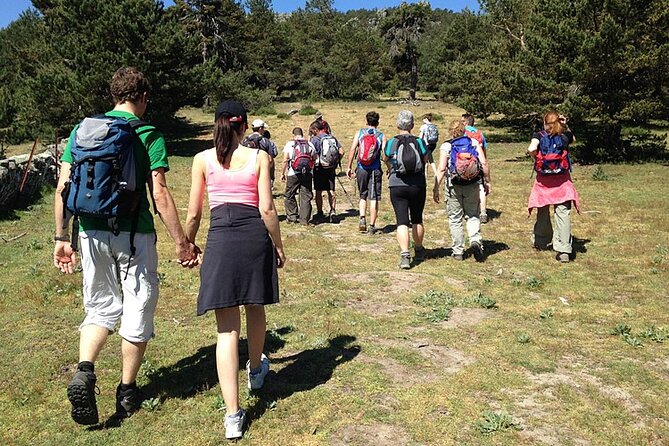 Hiking in Madrid National Park with Transport - Practical booking advice