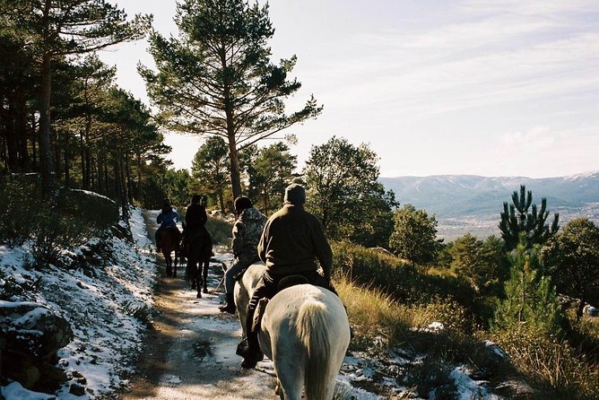 Horse Riding Madrid Natural Park - Leaving Madrid for the Sierra de Guadarrama