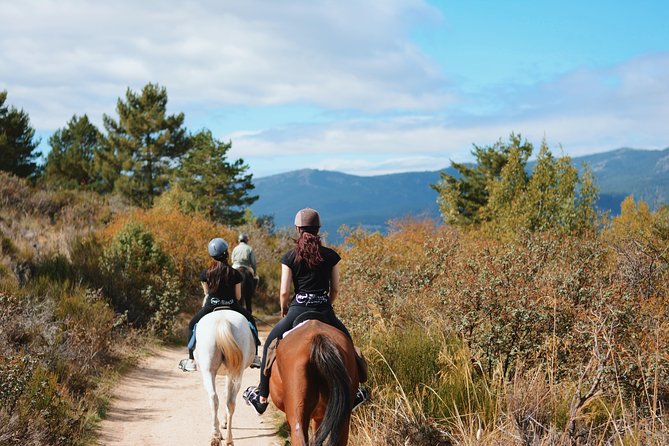 Horse Riding Madrid Natural Park - Is this suitable for a beginner?