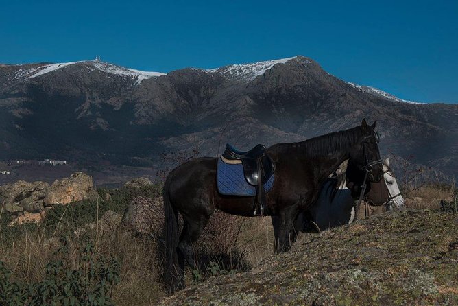 Horse Riding Madrid Natural Park - What to wear and bring