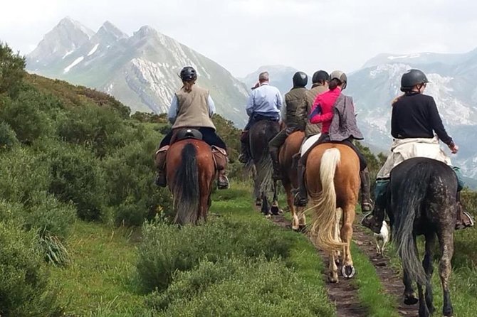 Horse Riding Madrid Natural Park (long Trip) - Key points to know before you book