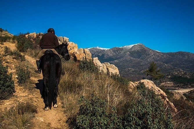 Horse Riding Madrid Natural Park - Why the scenery earns the trip outside Madrid