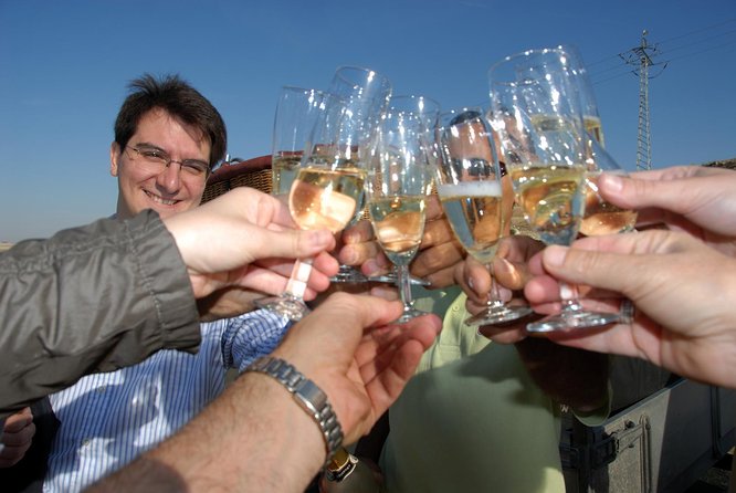 Hot-Air Balloon Ride over Aranjuez with Optional Transport from Madrid - Brunch, cava, and the flight certificate