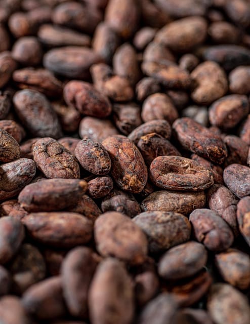 KAIACAO Bean to Bar and Design your own chocolate experience - Inside KAICAO’s central Madrid cacao lab