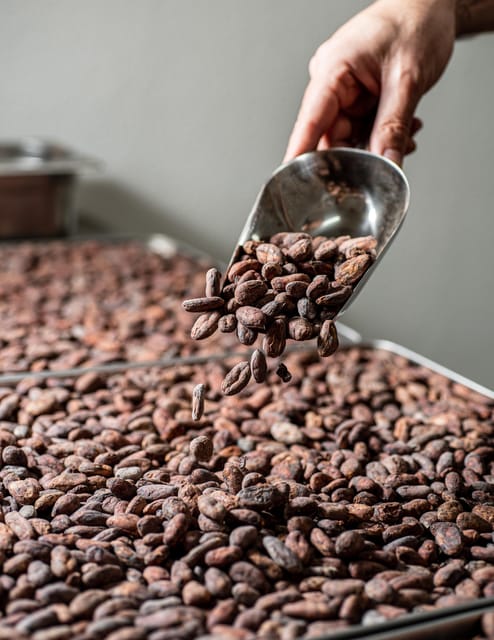 KAIACAO Bean to Bar and Design your own chocolate experience - Sorting, roasting, and winnowing the beans