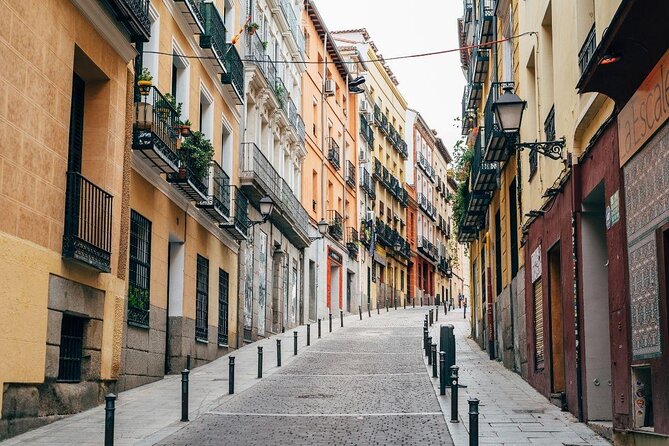 Lavapiés: The most multicultural neighbourhood of Madrid, Private Walking Tour - Key points to know before booking