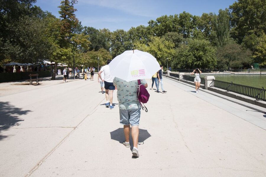 Madrid: 1.5-Hour Retiro Park Guided Walking Tour - Lesser-known corners and the rose garden
