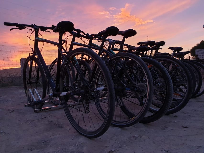 Madrid: bike rental - Retiro Park and Madrid’s green side