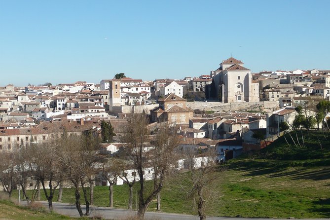 Madrid Countryside Wineries Guided Tour with Wine Tasting - Why Madrid’s wine country is worth your morning