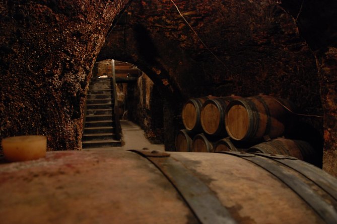Madrid Countryside Wineries Guided Tour with Wine Tasting - More than wine: ham, cheese, tapas, and hot dishes