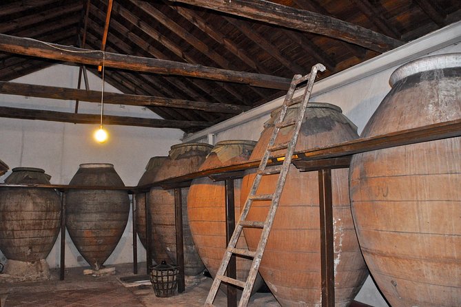 Madrid Countryside Wineries Guided Tour with Wine Tasting - The guides make or break the day