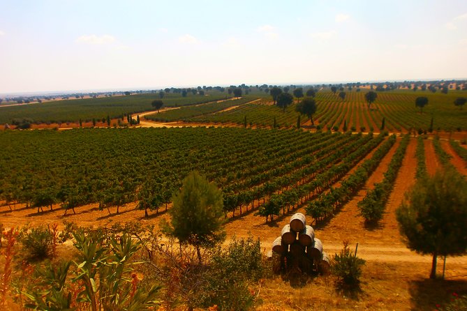 Madrid Countryside Wineries Guided Tour with Wine Tasting - Price and what the six hours include