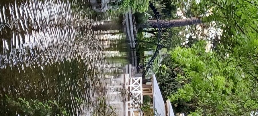 Madrid: El Capricho Park Tour - What Rubén adds to a two-hour walk