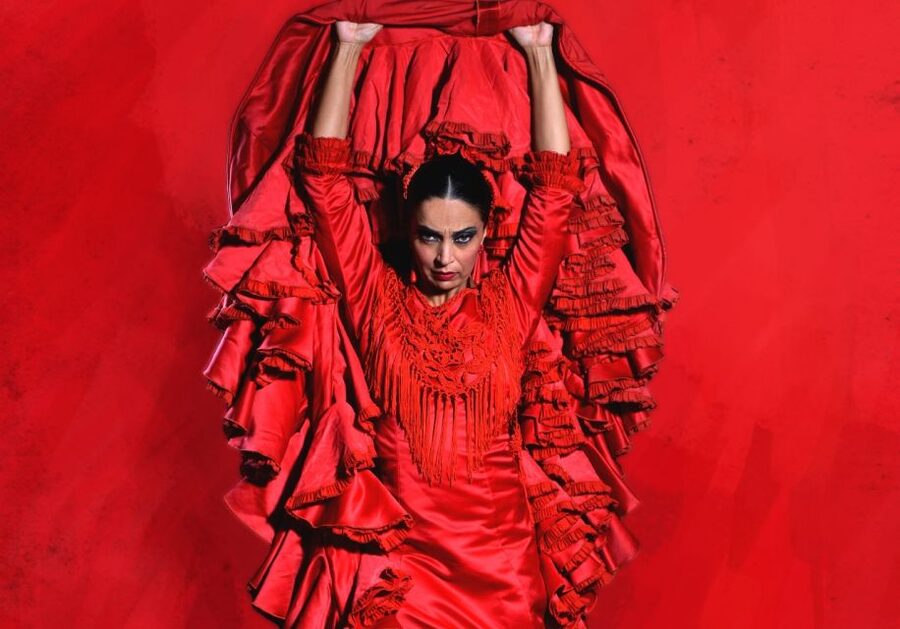 Madrid: "Emociones" Live Flamenco Performance - Guitar and Singing Keep the Show From Feeling Like a Dance Recital