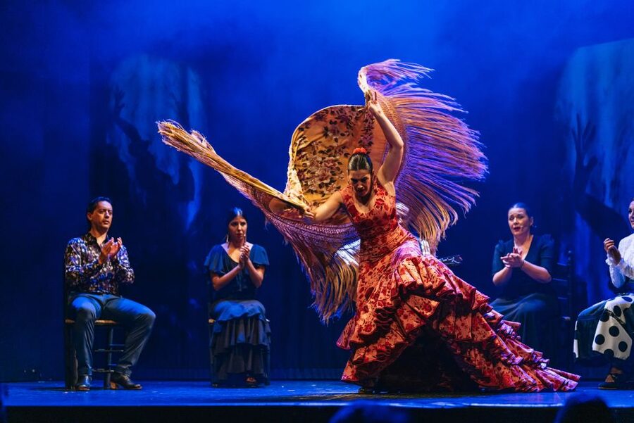 Madrid: "Emociones" Live Flamenco Performance - The Welcome Drink and Table Service
