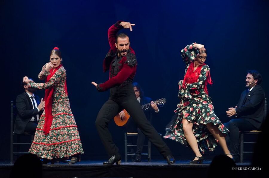 Madrid: "Emociones" Live Flamenco Performance - Timing Your Visit in Central Madrid