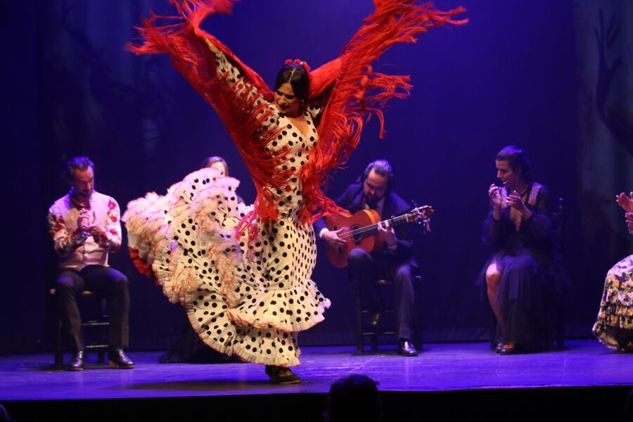Madrid: "Emociones" Live Flamenco Performance - Small Drawbacks Worth Knowing Before You Book