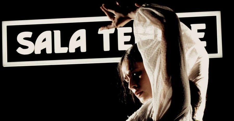 Madrid: Flamenco Show at Tablao Sala Temple with Drink - Why the small audience changes the mood