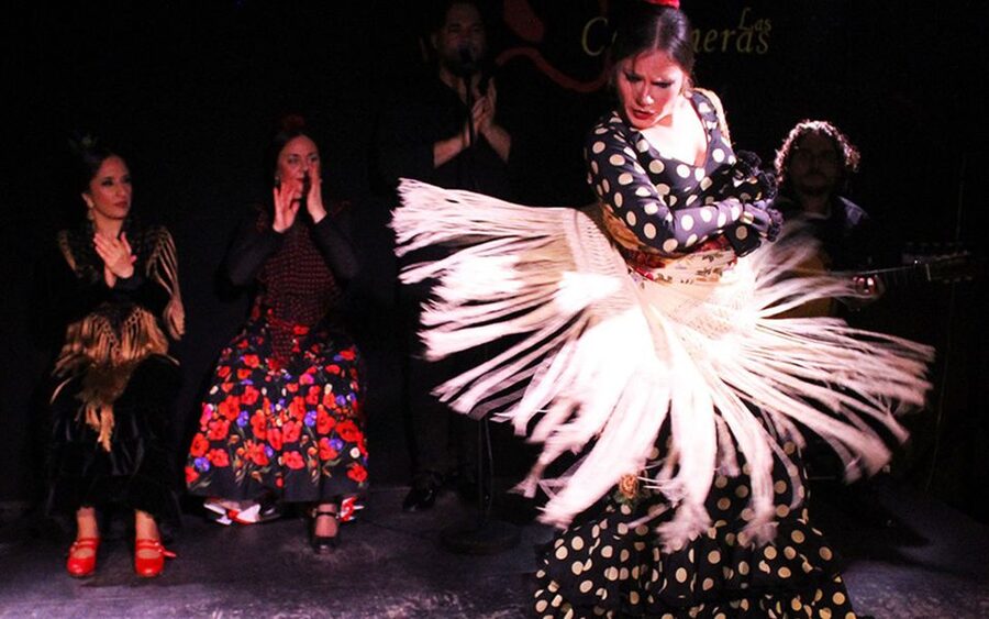 Madrid: Flamenco Show with Tapas and Wine Tour - Five things that make this Madrid night worthwhile