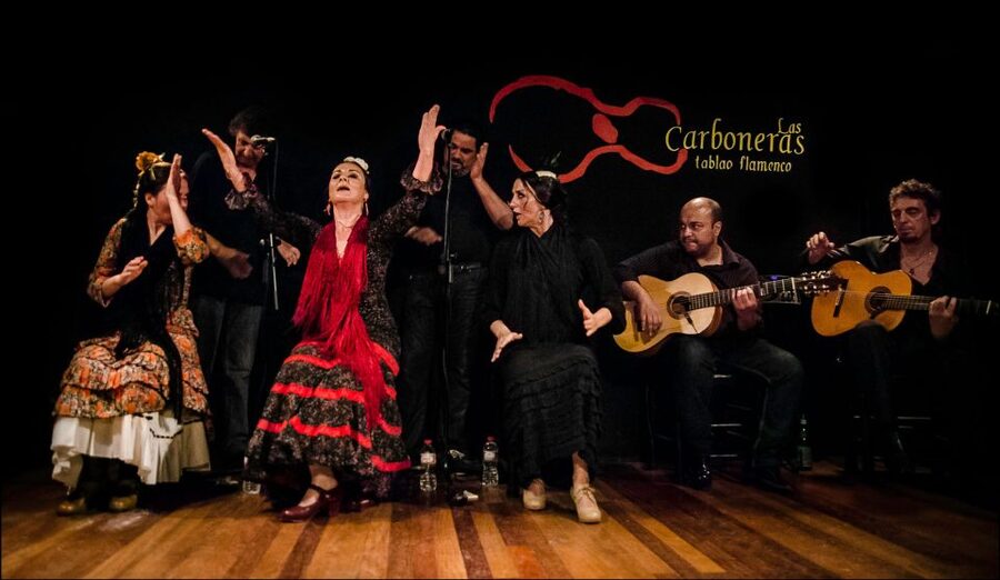 Madrid: Flamenco Show with Tapas and Wine Tour - Iberian ham and sausages in a specialty shop