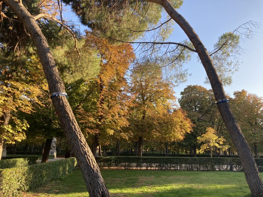 Madrid: Flow Yoga class in Retiro Park - What Makes the Outdoor Setting Worth It