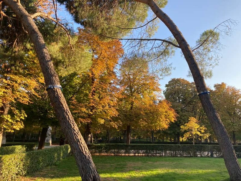 Madrid: Flow Yoga class in Retiro Park - Who Will Enjoy This Most