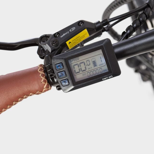 Madrid: Guided Electric Bike Tour. City center & Retiro Park - Key points to know before you book