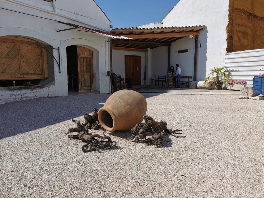 Madrid: half day wine region tour - Should you book the Madrid wine region tour?