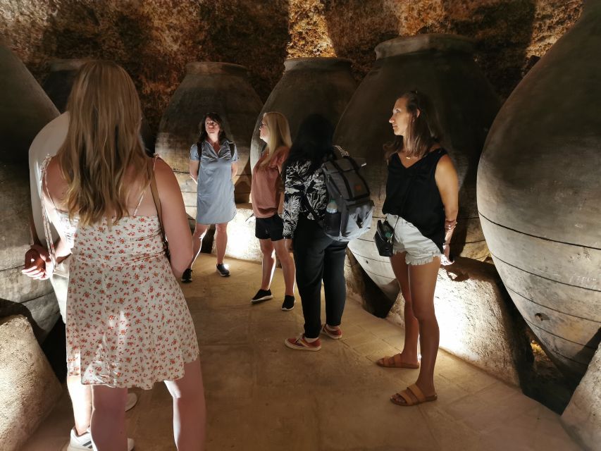 Madrid: half day wine region tour - Second winery: comparing styles and families