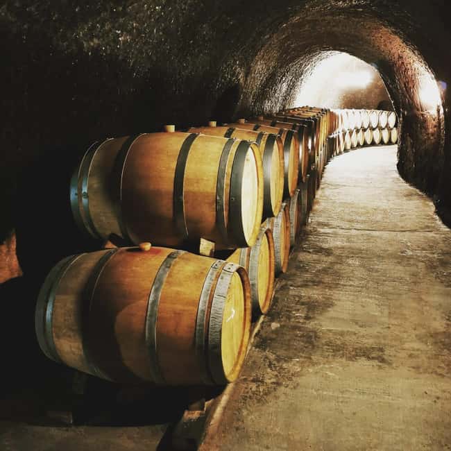 Madrid: half day wine region tour - Who will enjoy this half-day best