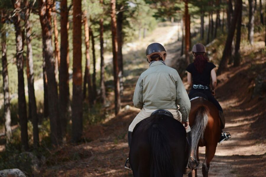 Madrid: Horse Riding in Sierra del Guadarrama National Park - Getting from Madrid to the horses