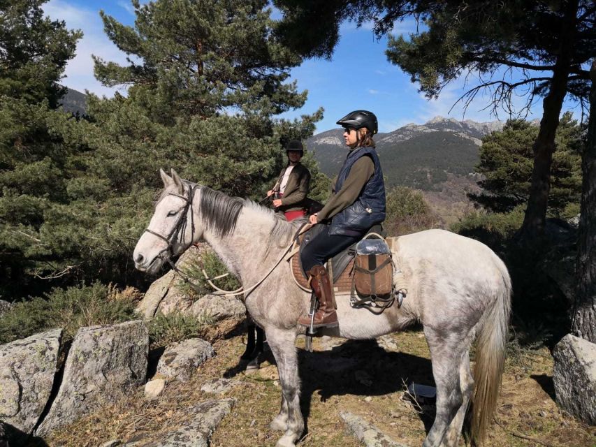 Madrid: Horse Riding in Sierra del Guadarrama National Park - Price and what you receive for $88