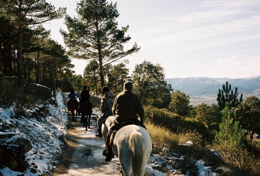 Madrid: Horse Riding in Sierra del Guadarrama National Park - Who should book this activity