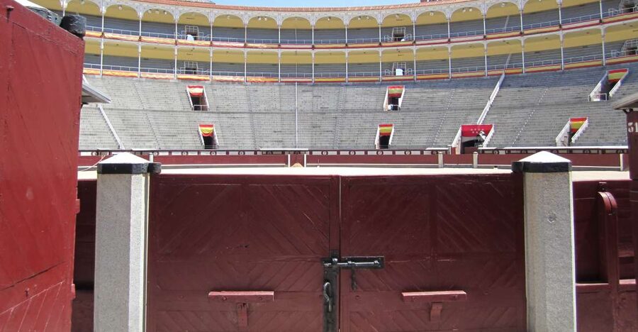 Madrid: Las Ventas Bullring VIP Private Guided Tour - Meeting your guide at Calle Alcalá, 237
