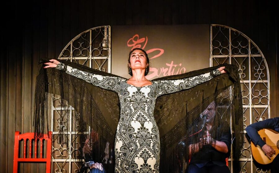 Madrid: Local Flamenco Show at El Cortijo - Seating, atmosphere, and comfort