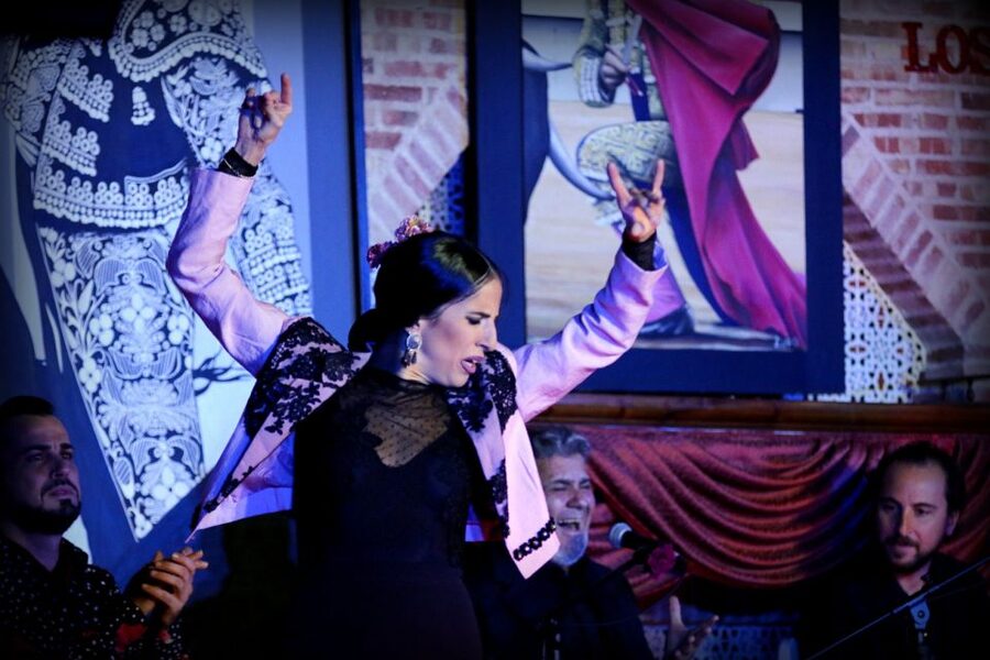 Madrid: Los Porches Flamenco Show with Tapas and Wine Ticket - The flamenco show is the main event