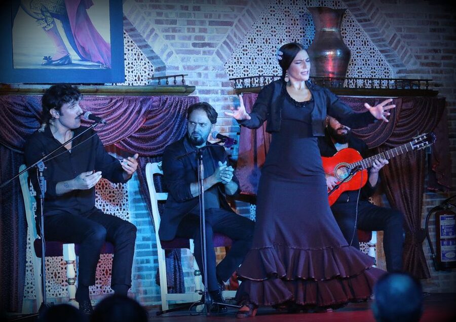 Madrid: Los Porches Flamenco Show with Tapas and Wine Ticket - Is $53 good value?