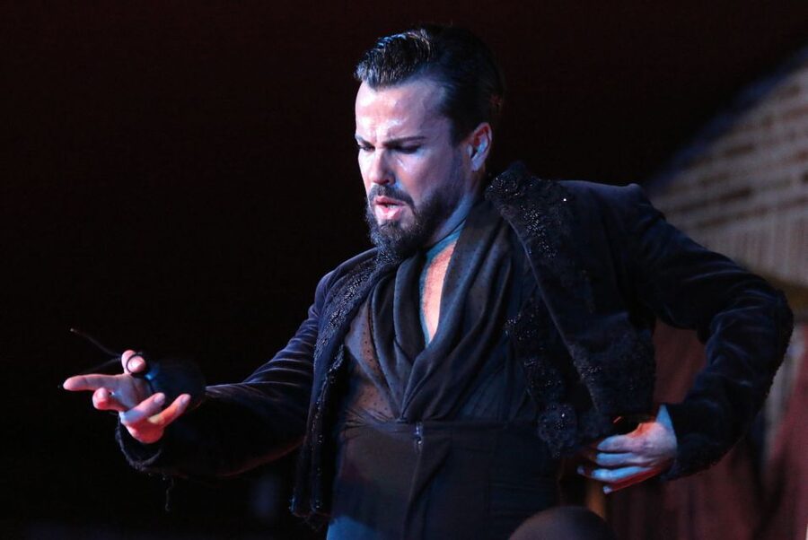 Madrid: Los Porches Flamenco Show with Tapas and Wine Ticket - Booking details that matter