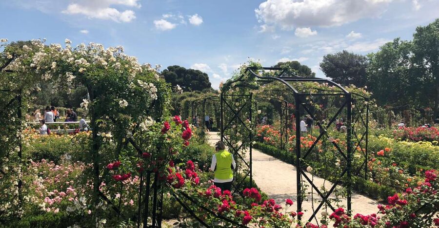 Madrid: Prado Avenue and Retiro Park Guided Walking Tour - Entering Retiro Park through its royal past