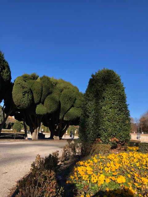 Madrid: Prado Avenue and Retiro Park Guided Walking Tour - Peacocks, photos, and the pleasure of slowing down