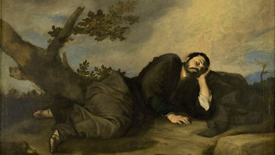 Madrid: Prado Museum 3-Hour Private Tour - Spanish rulers, royal collections, and the meaning behind the paintings