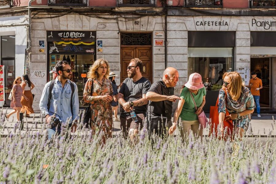 Madrid: Private Custom Experience with a Local, Icons & Gems - Key points at a glance